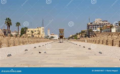 The Sphinx Avenue In Luxor In Egypt Between Karnak And Luxor Temples