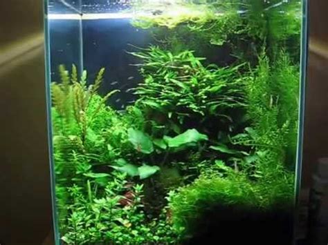 Nano Akwarium 30l Nano Aquarium Diversa YouTube