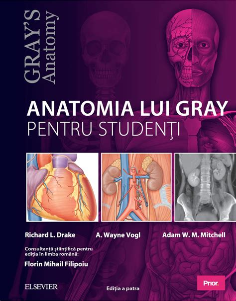 Pachet Anatomia Lui Gray Si Atlas De Anatomie Ebookshop Ro