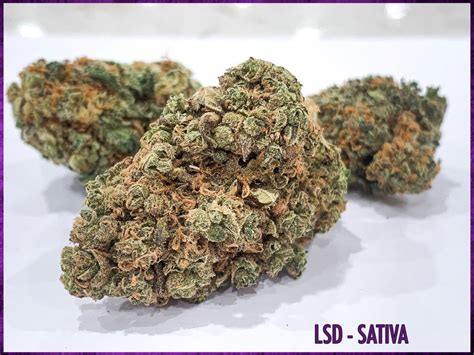 LSD-strain-in-tucson | Tucson SAINTS