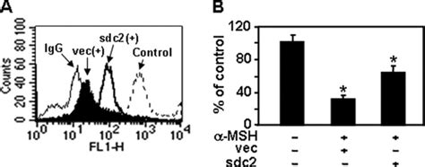 Syndecan 2 Regulates The Migratory Potential Of Melanoma Cells