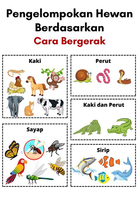 Cara Bergerak (Hewan) | Flora and fauna, Fauna, Flora