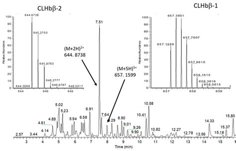 Uhplc Hrms Ms Analysis In Positive Mode Of The Peptide Enriched Download Scientific Diagram