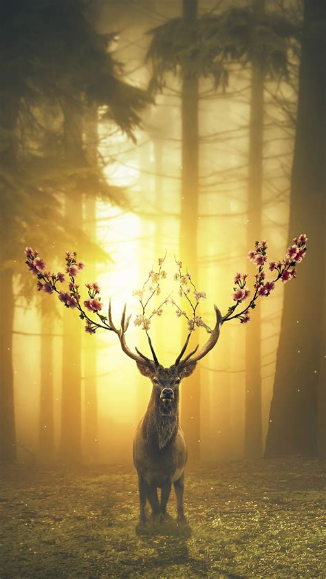 Spring Deer Forest Wallpapers | HD Wallpapers | ID #23631