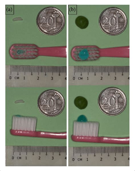 (a) Smear size of 1000 ppm fluoride toothpaste for use in children... | Download Scientific Diagram