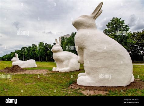 Three Giant Rabbit Statues Berm Bunnies Forming An Eye Catcher On The