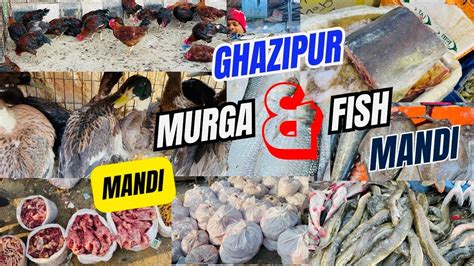 Ghazipur Murga Mandi Rate Today Ghazipur Fish Market Delhi Today