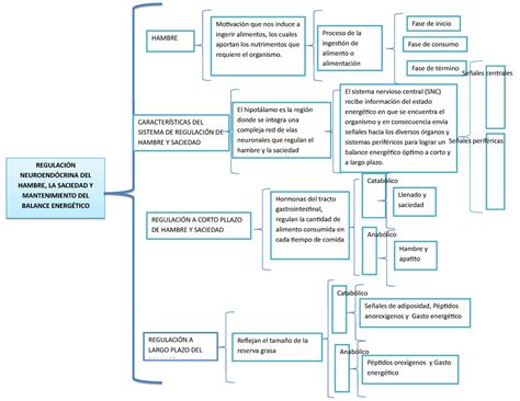 Regulación neuro endocrida de el hambre y la saciedad Señales