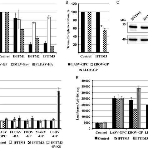 Synergistic Inhibition Of Ebola Virus Ebov Glycoprotein Gpdriven