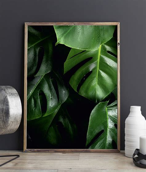 Plakat Monstera zielone liście Plakaty dekoracyjne Bardzo Fajne