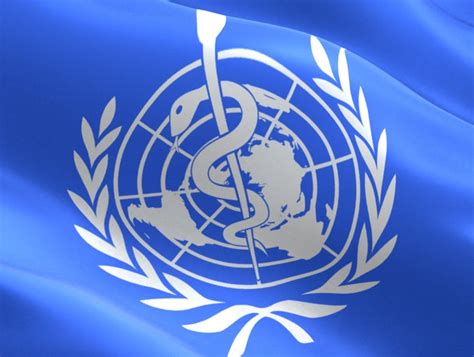 Charting The Ups And Downs Of The World Health Organization