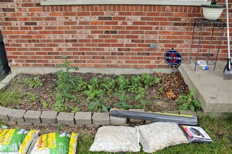 Ugly Flower Bed Turned Container Rock Garden Charmingly Modern