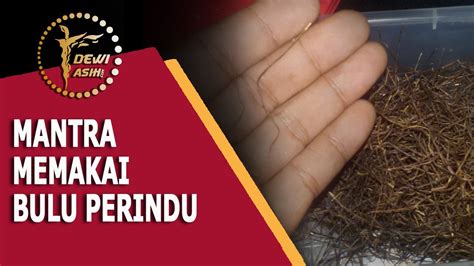 mantra bulu perindu  menggunakan bulu perindu  mantra youtube