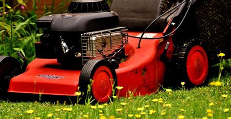 What Is The Best Time To Mow Lawn Plus Ideal Mowing Height Geartrench