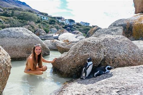 Boulders Beach Guide Visiting The Penguin Beach In Cape Town South