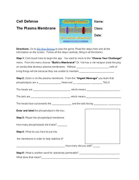 Cell Defense The Plasma Membrane Answer Key 6