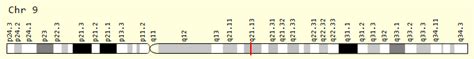 Anxa Gene Genecards Anxa Protein Anxa Antibody