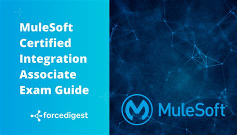 Mulesoft Certified Integration Associate Exam Guide By Forcedigest All About Salesforce