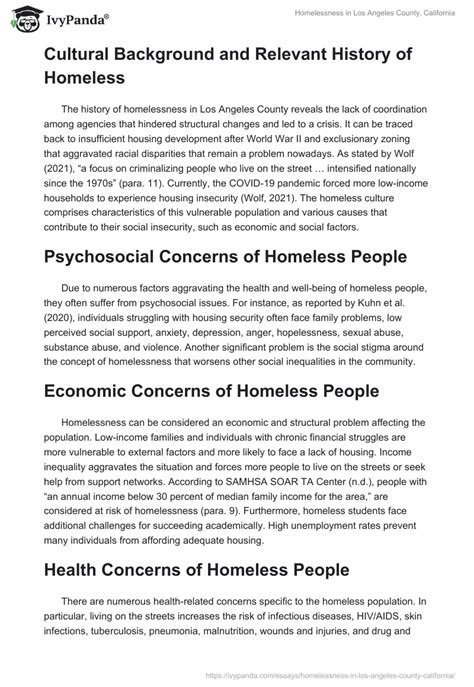 Homelessness In Los Angeles County California 1701 Words Essay Example