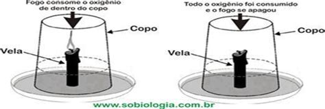 Explique Porque A Vela Coberta Pelo Copo Se Apaga Logo
