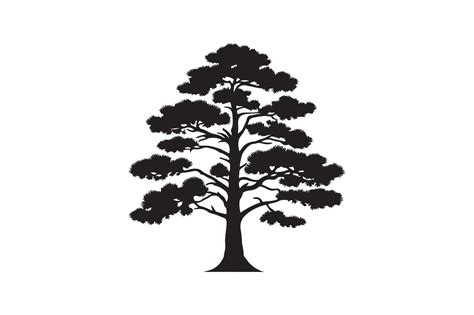 Pine Tree Silhouette 46493544 Vector Art At Vecteezy