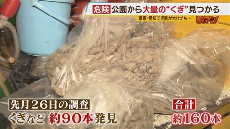 危険！園児も利用する公園に「大量のくぎ」大規模調査で金属棒やペグも見つかる ほかの公園は大丈夫？記者が調べると「頭が地面から出ているくぎ