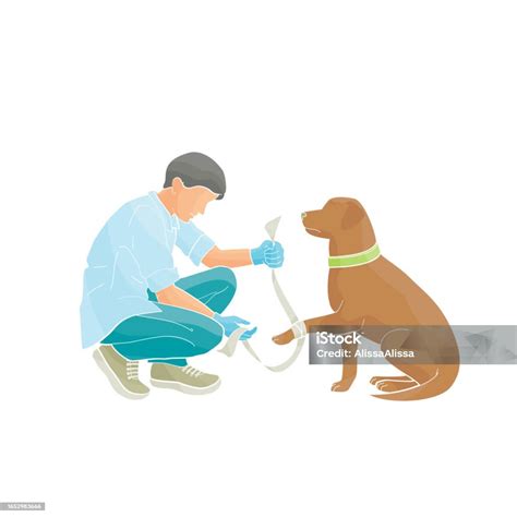 Male Veterinarian Tying A Dogs Paw Stock Illustration Download Image