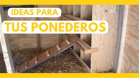 C Mo Hacer Nidos Para Tus Gallinas Ideas Tips Caseros Youtube