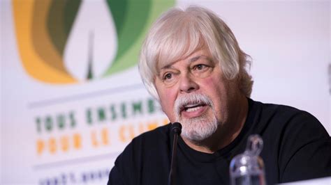 Chasse La Baleine Paul Watson Na Aucun Regret Apr S Son