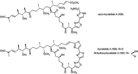 Natural Product Scaffolds As Inspiration For The Design And Synthesis