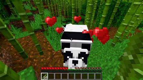 How To Tame A Panda In Minecraft