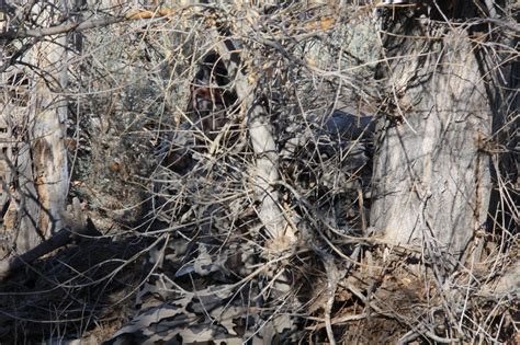 Hunting Camo Wallpapers - Top Free Hunting Camo Backgrounds