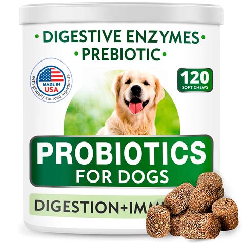 Best Prebiotic Probiotic And Digestive Enzymes at Crystal Blackwell blog
