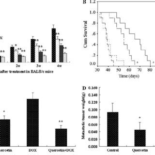 EVects Of Quercetin On HIF 1 In Vitro And In Vivo Quercetin Induced