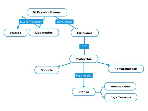 El Esqueleto Humano Mind Map