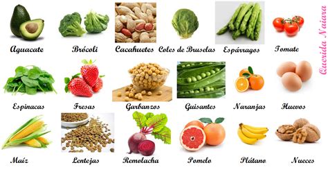 Alimentos ricos en acido folico para embarazadas – Dietas de nutricion y alimentos