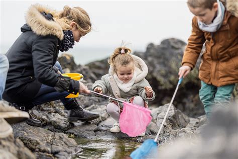 Pêche miraculeuse sur l estran Binic Étables sur Mer Côtes d Armor