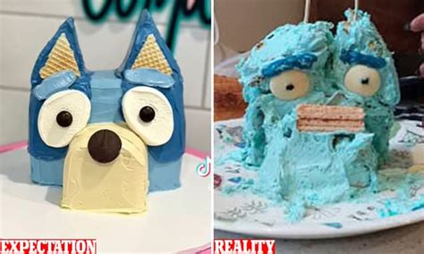 Woolworths Mudcake Hack Home Baker S Hilarious Bluey Cake Fail Leaves