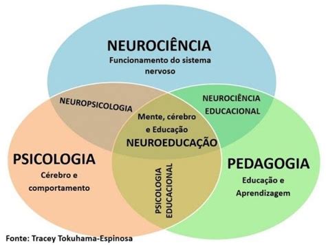 Neuroeducação Esquema Neurociência Neurociencia E Aprendizagem Psicologia Da Educação