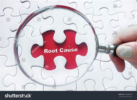 root  analysis investigation images stock  vectors