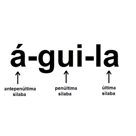 guia completa cuando  como acentuar la palabra  en espanol cfn