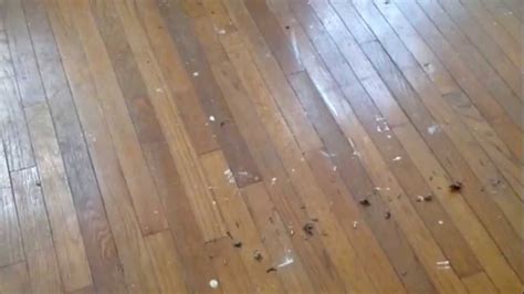 How To Strip Hardwood Floors Without Sanding Floor Roma