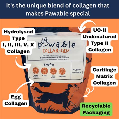 Collagen For Dogs Best Dog Collagen Powder Uk