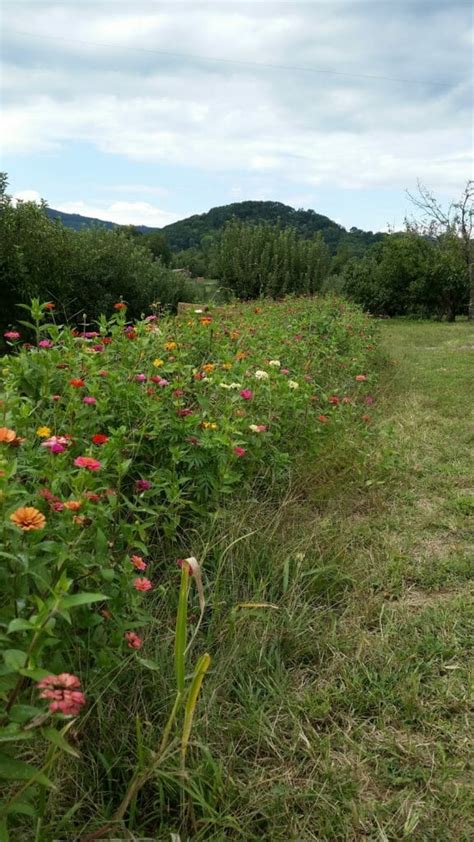 Johnsons Orchard Lyh Lynchburg Tourism