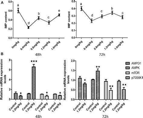 Frontiers Molecular Characterization Of Adenosine Monophosphate