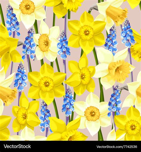 Daffodil And Muscari Seamless Background Vector Image