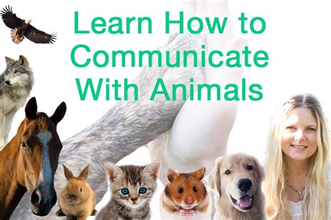 Animal Communication – teloschannel.com