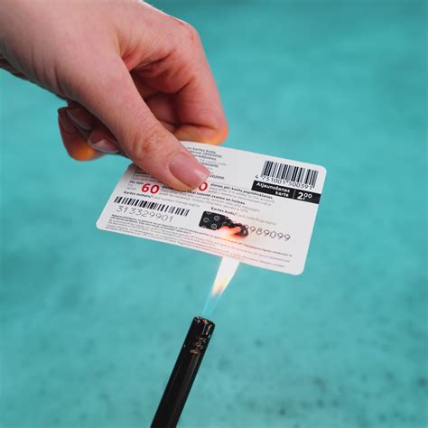 Houseplant Growing Made Effortless with These Tips | Houseplant Growing