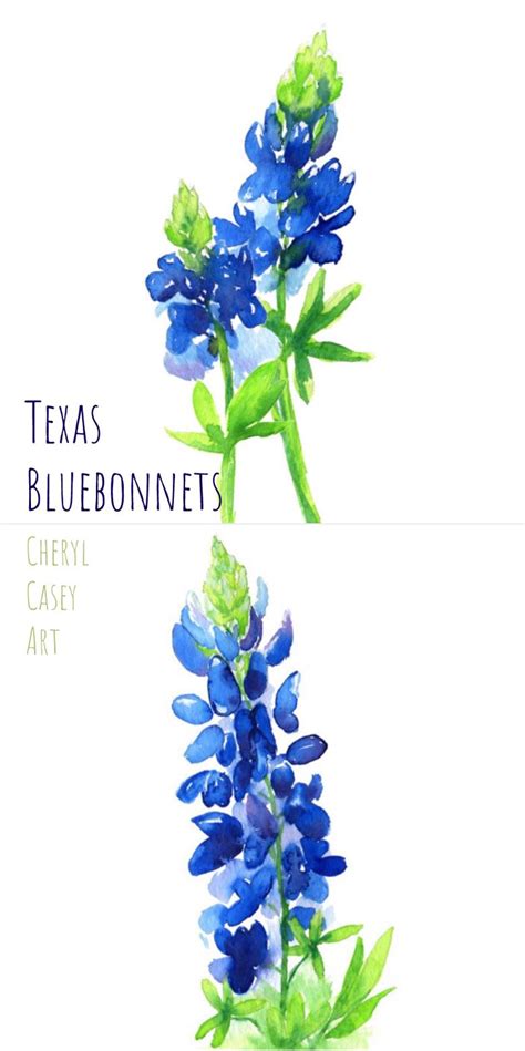 two bluebonnets with green leaves and the words texas bluebonnets