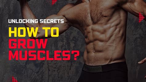 How To Grow Muscles Unlocking Secrets Muscle Building Tips Youtube